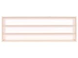 Alsino Vitrina (v115.3) para Hobbies Escala H0 y N (Madera de Abedul, con 2 Lunas de plexiglás, Dimensiones 115 x 30 x 8,5 cm, Vitrina, Vitrina, Expositor, collezionismo