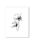 MILUKA Láminas para Enmarcar para Cuadro de Estilo Elegante | Póster de Plantas Estilo Acuarela | Magnolia | Varios Tamaños (30 x 40 cm)