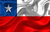 Durabol Bandera de Chile 150 x 90 cm América del Sur