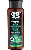 NaturVital - Champú Anticaspa Refrescante, Sin Parabenos ni Colorantes ni Siliconas, Ideal para Pelo Graso, Champú Natural Purificante, 300 ml