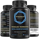 Beta Ecdisterona + Tribulus Terrestris - Potenciador de la actividad física del desarrollo muscular de Synergie Nutrition | 60 dosis diarias | Extracto 10:1 | 95% Ecdysterona + 92% Saponinas